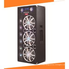 12 Inch Karaoke Audio Powered DJ Speaker A13